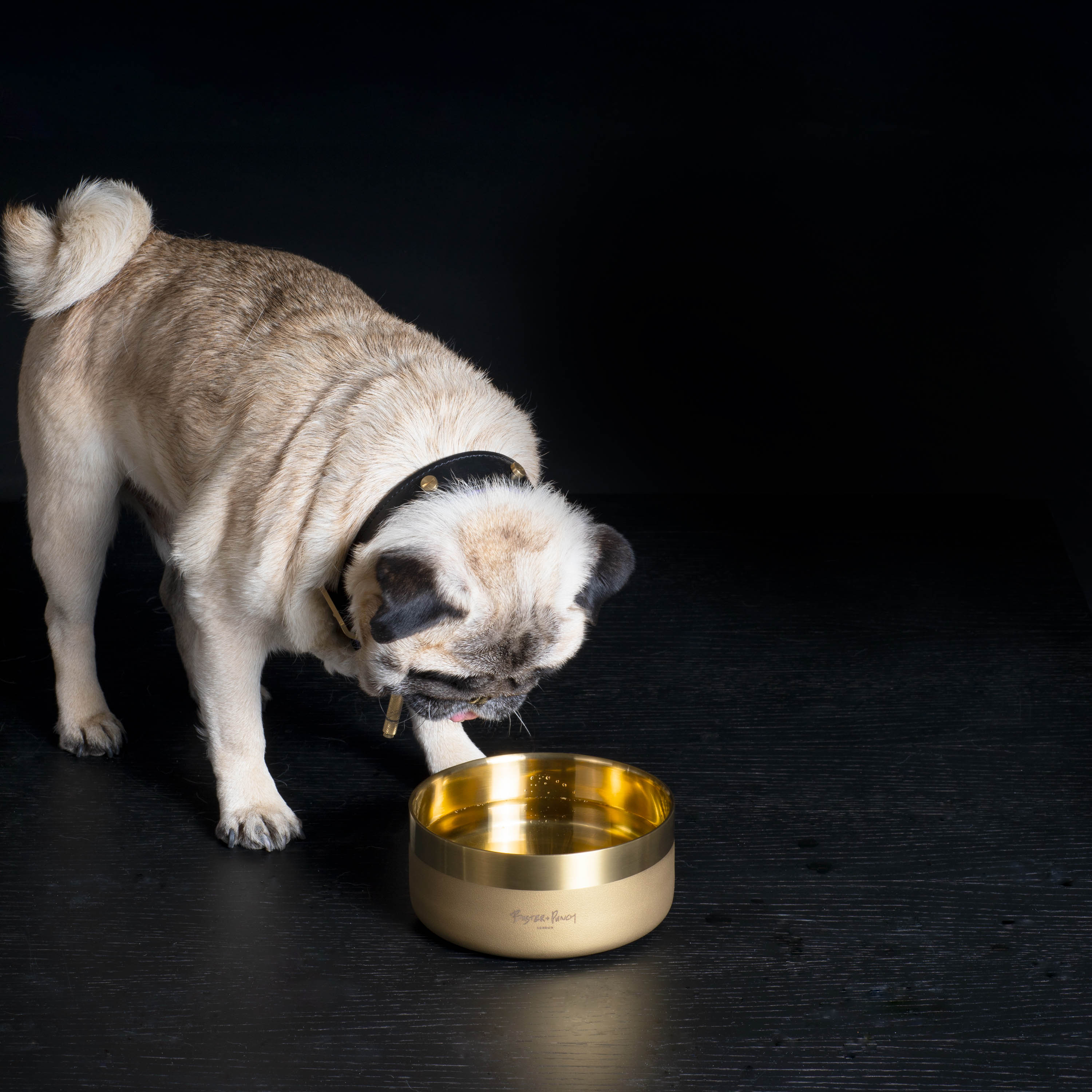 BP_Dog_Bowl_Lifestyle_Small_Brass_2_square