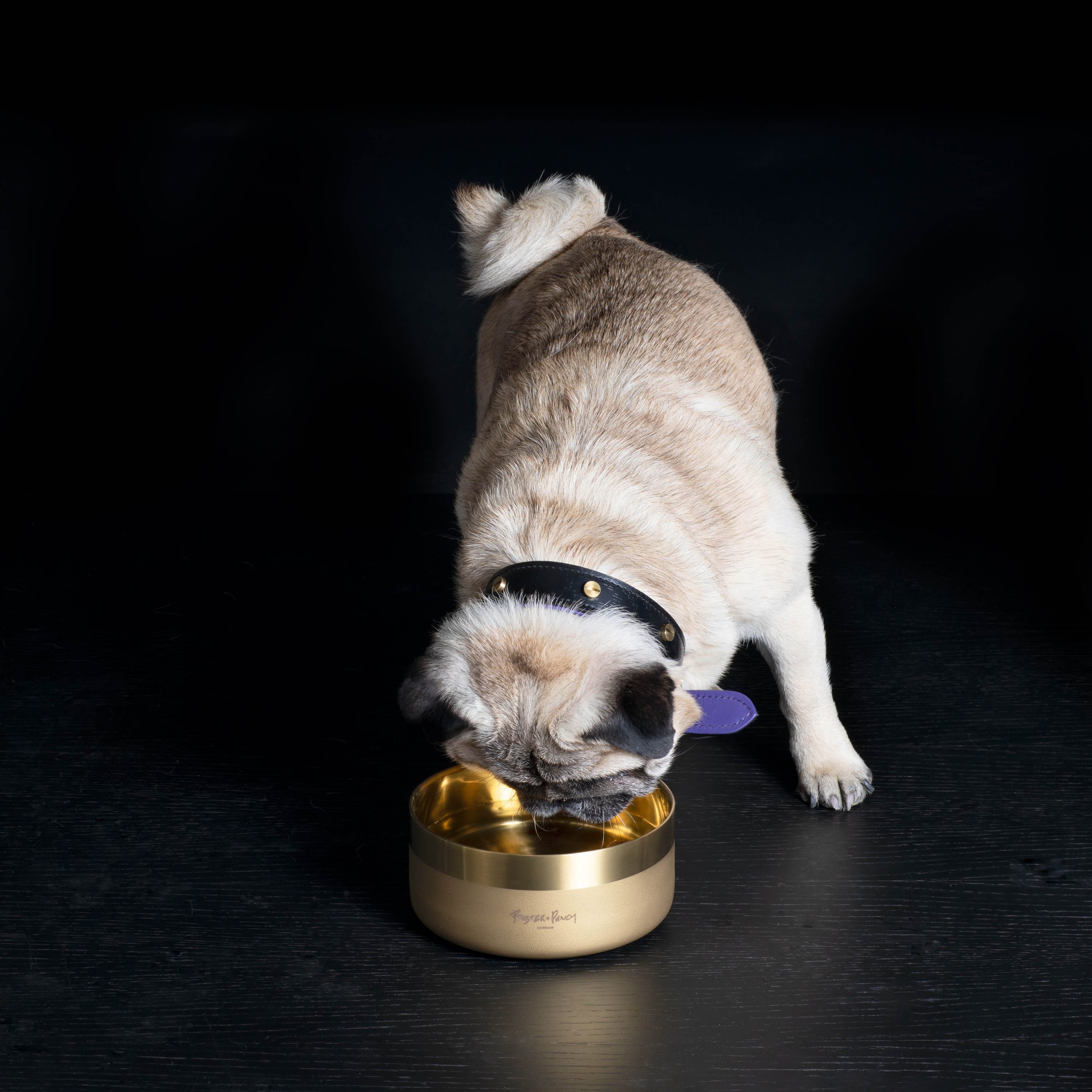 LV dog bowl – The Frenchie Shop