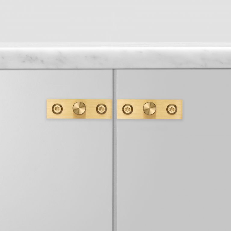 2.Buster+Punch_Furniture_Knob_Plate_Brass